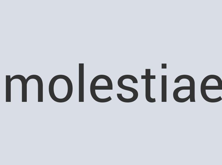 Aerodynamic Copper BigTent